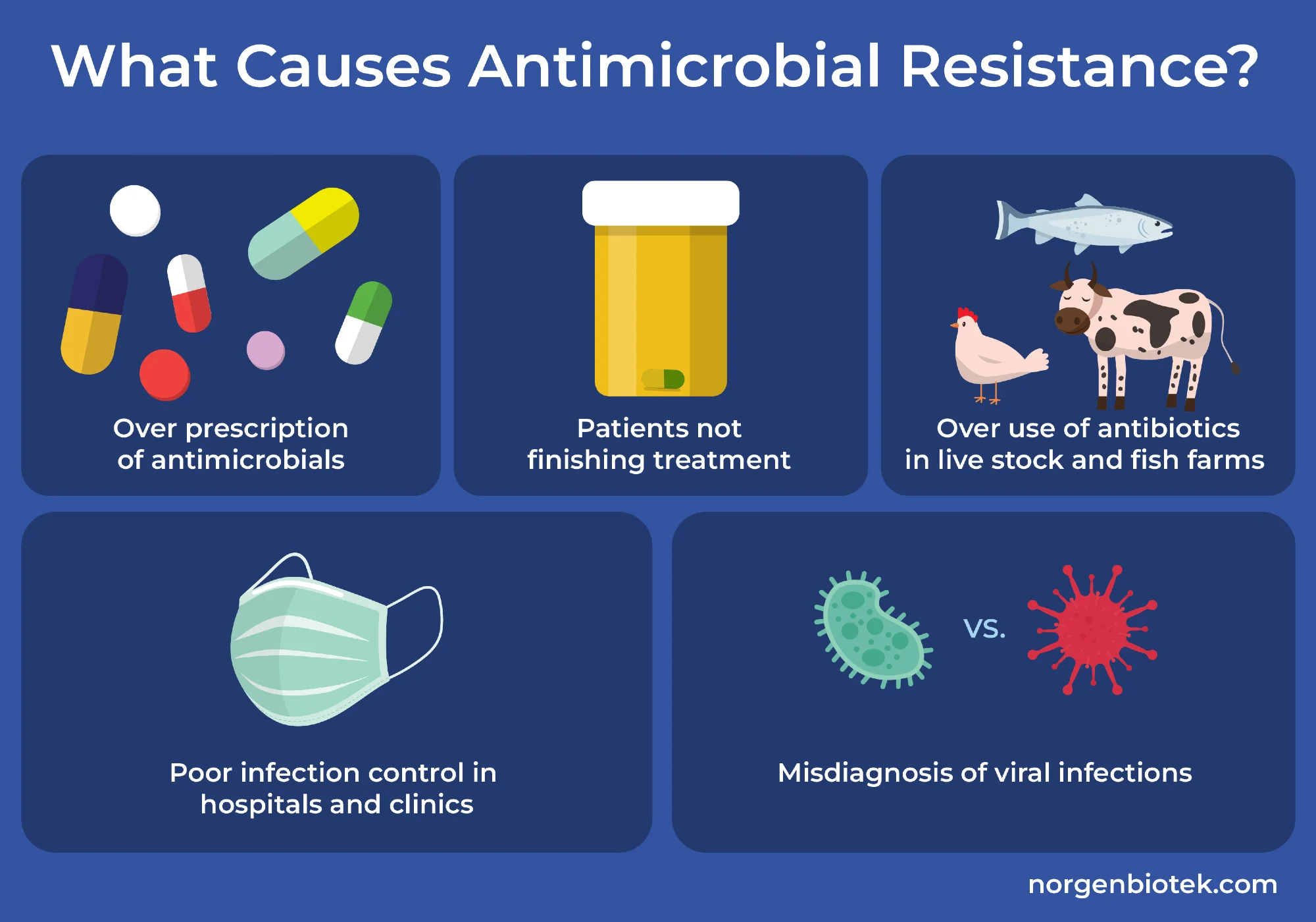 Antimicrobial Resistance Studies